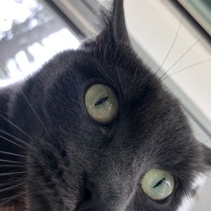 Meet your Posher, Cecilia